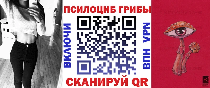 Галлюциногенные грибы Magic Shrooms  закладки  Торопец 